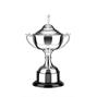 Silver Plated Trophy thumbnail